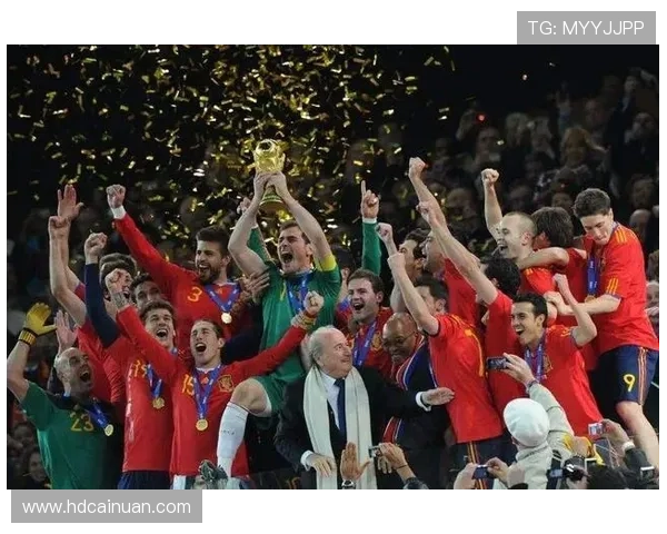 2010年荷兰足球明星的辉煌历程与世界杯征战回顾